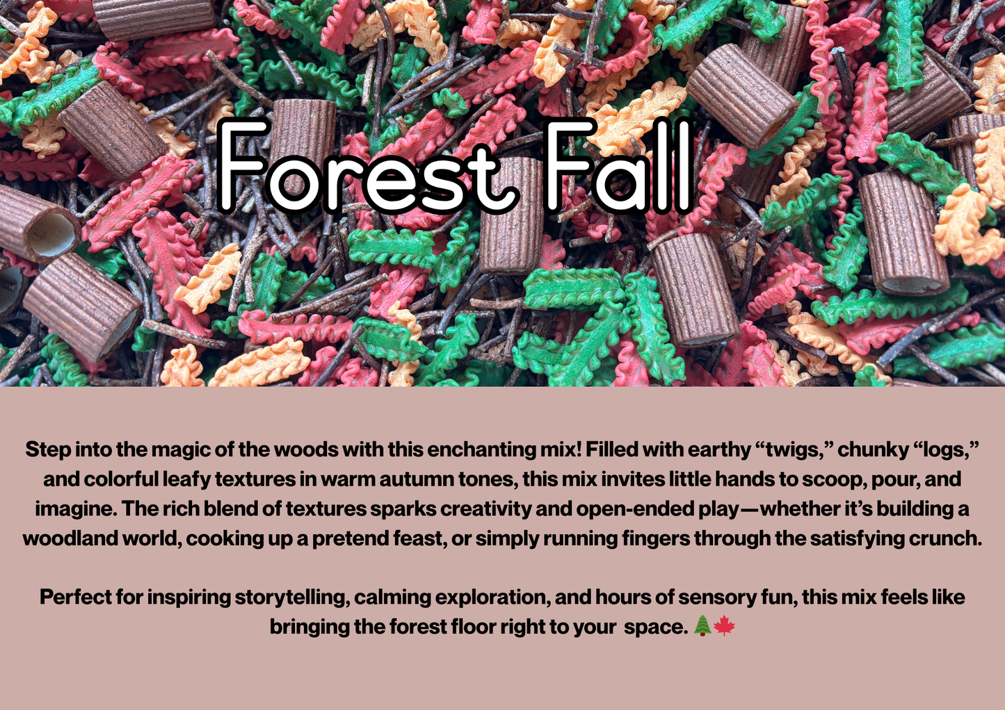 Forest Fall